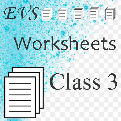 Class 3 Worksheet (EVS)