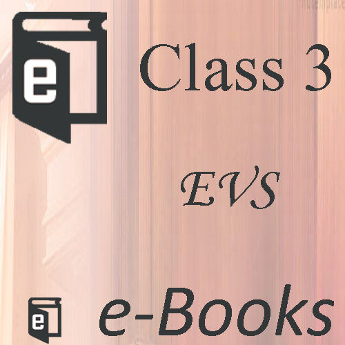 Class 3 E-Book (EVS)