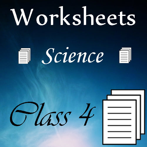 Class 4 Worksheets (Science)