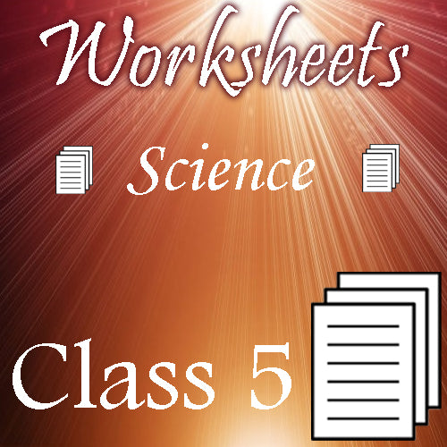 Class 5 Worksheets (Science)